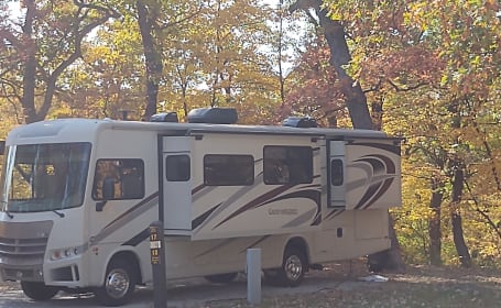 2016 Forest River RV Georgetown 310DS