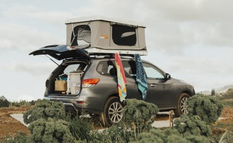 AWD Pathfinder pop top camper