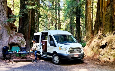 Wandervans SF - Medium with rooftop A/C