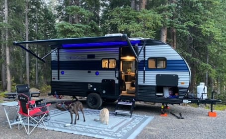 2022 Forest River RV Cherokee Wolf Pup 16BHS