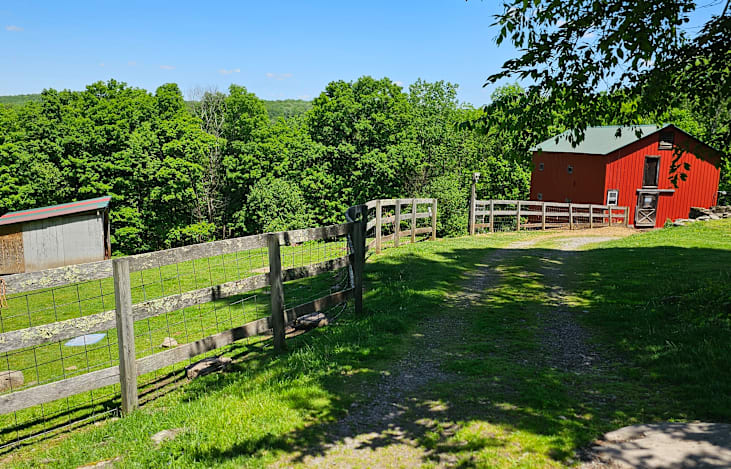 Area surrounding the RV, located on a sheep farm in the Catskill Mountains. Close to area attractions including Bethel Woods and the Delaware River.
