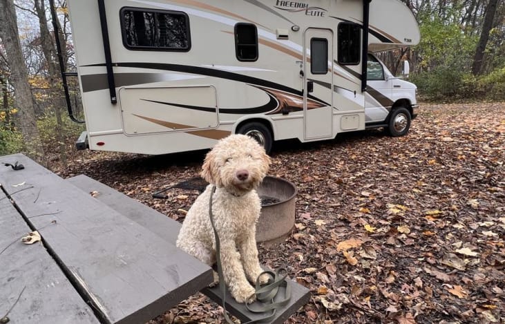 This is our puppy, Ferris. The RV is "Ferris approved!"