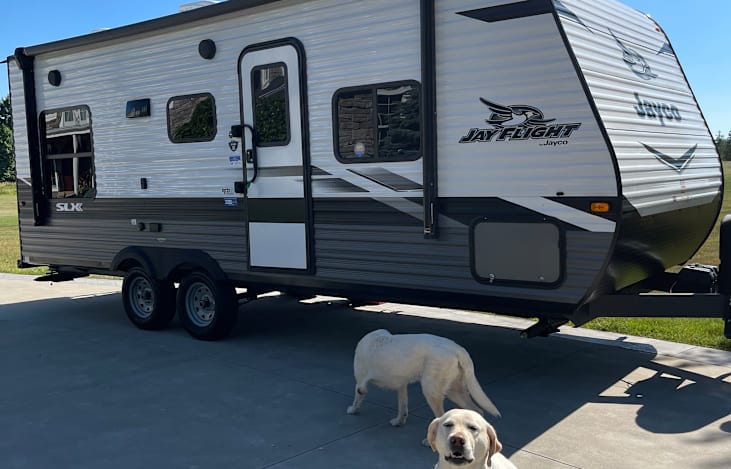 Bring your pets!