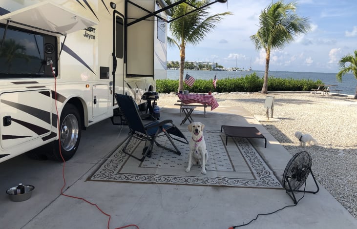 At Cedar Key with the pups.