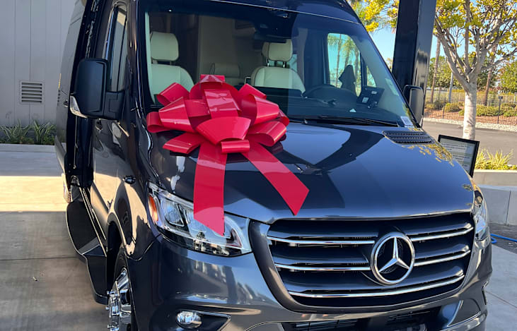 She brings the gift of memories... Priceless