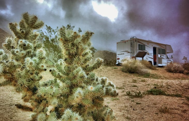 The morning fog in the Joshua tree National Park is amazing and when you can have all the comforts of home with you, it's even better.