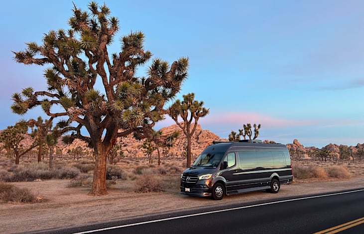 Joshua Tree Vibes with Misty....