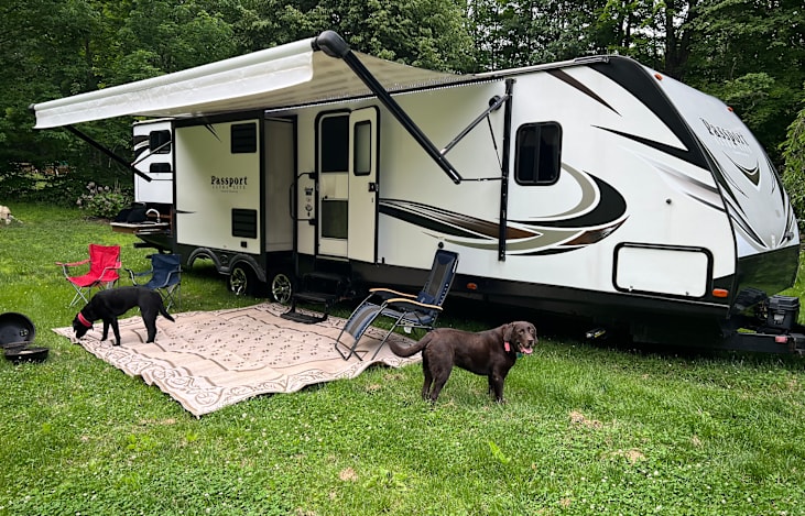Relax under the power awning with your dogs.