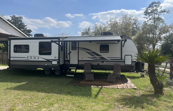 Cozy Palomino!!
