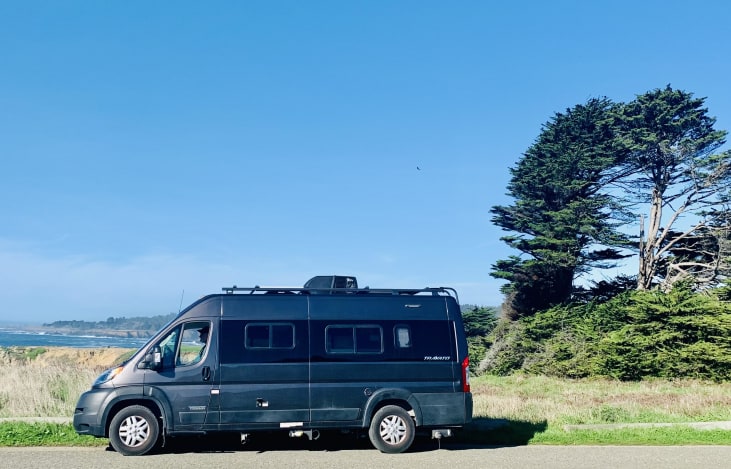 driver side- spotting migrating whales along the coast