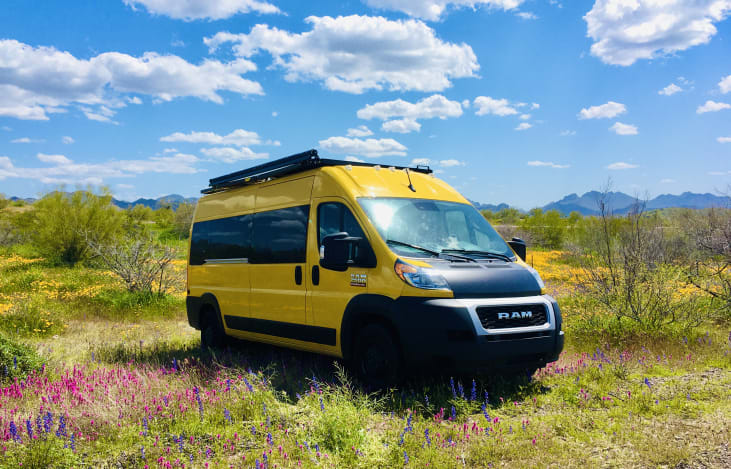 SUPER BLOOM in AZ. Best time for campin!