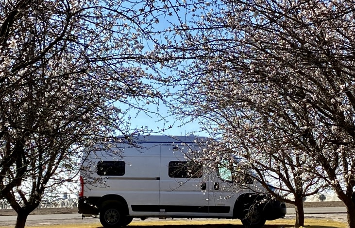 camper van with blossom