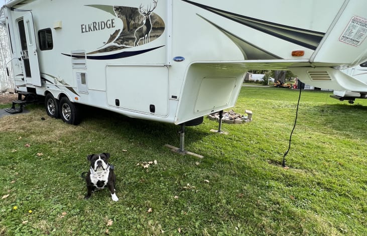 PET FRIENDLY!!
