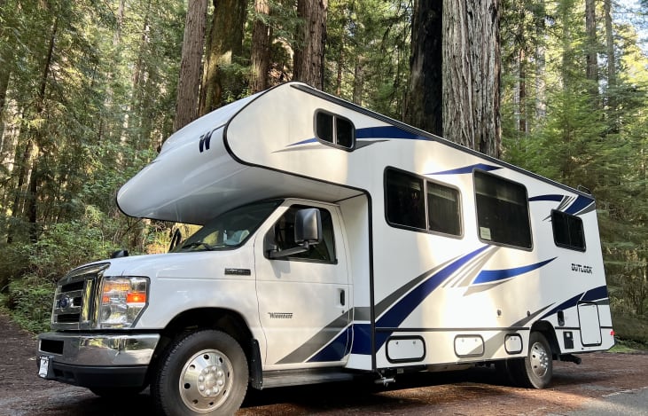 Cruising through the Redwood Forest