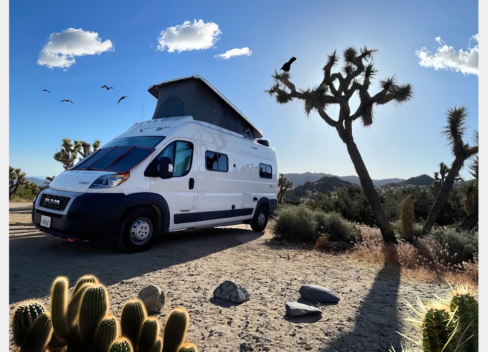 Class B Camping Van rentals in Los Angeles