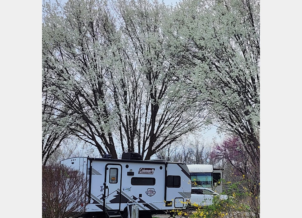 Travel Trailer rentals in Marshfield