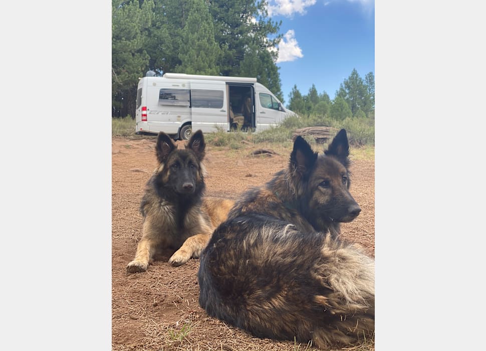 SunnyvaleRV rentals