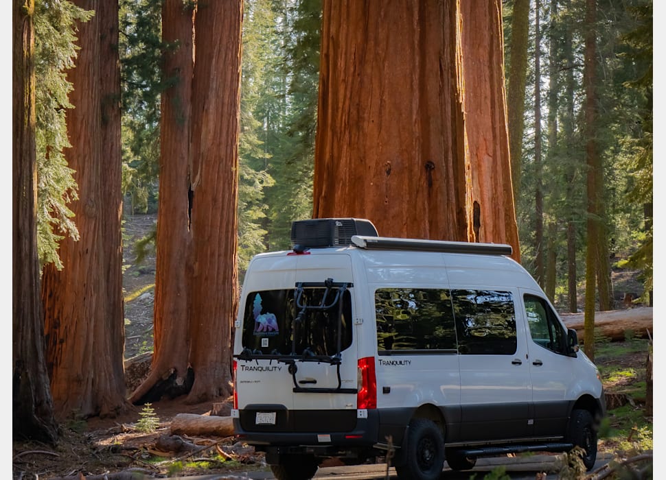 Class B Camping Van rentals in Fresno
